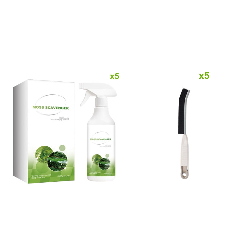 Outdoor Moss & Algae Remover Spray