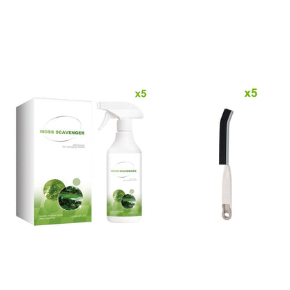 Outdoor Moss & Algae Remover Spray