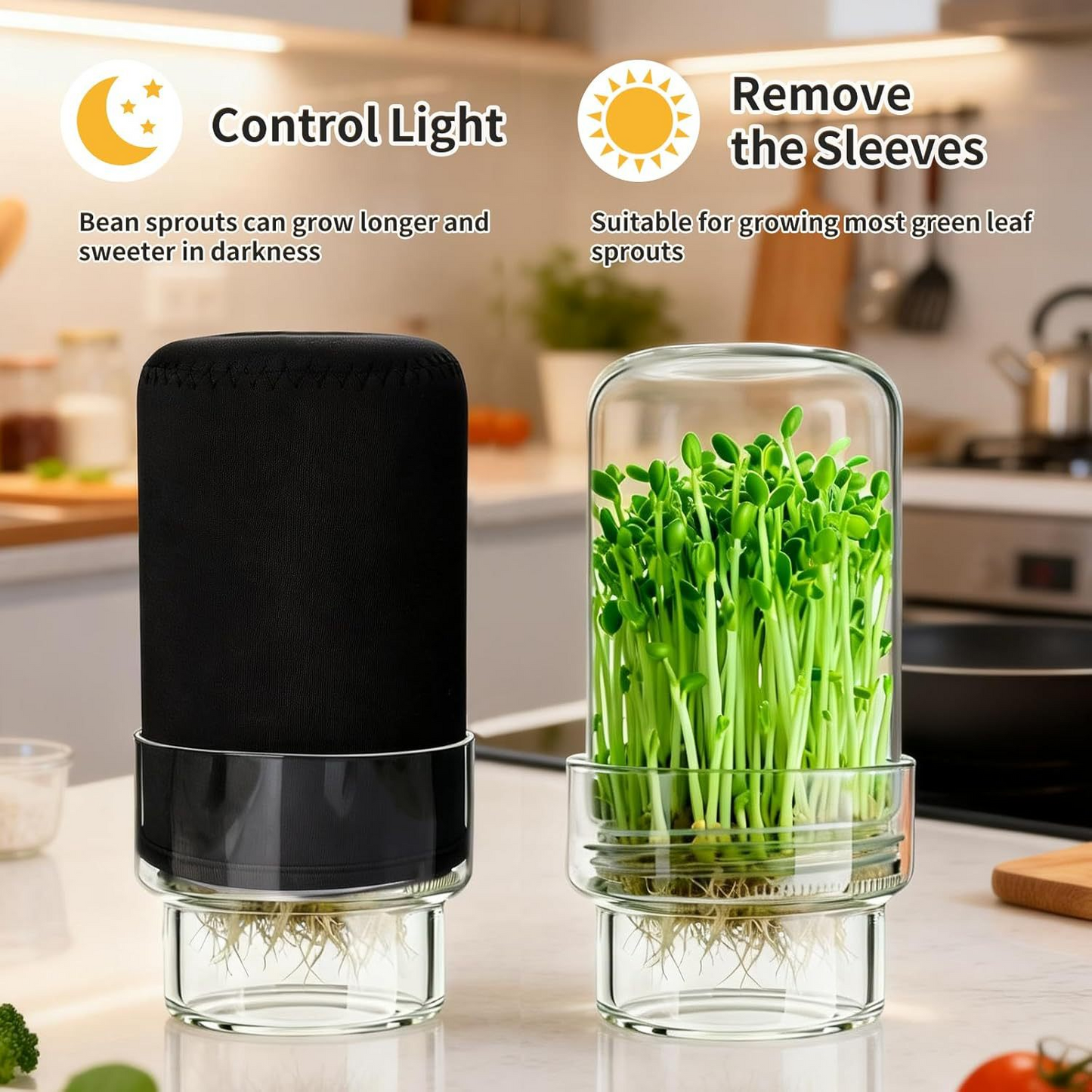 🌱 Upgraded Sprouting Jar Kit – Fresh Healthy Sprouts in Days ✨