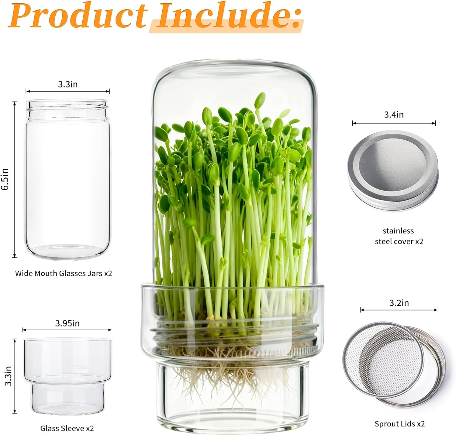 🌱 Upgraded Sprouting Jar Kit – Fresh Healthy Sprouts in Days ✨