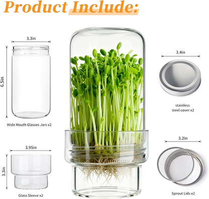 🌱 Upgraded Sprouting Jar Kit – Fresh Healthy Sprouts in Days ✨