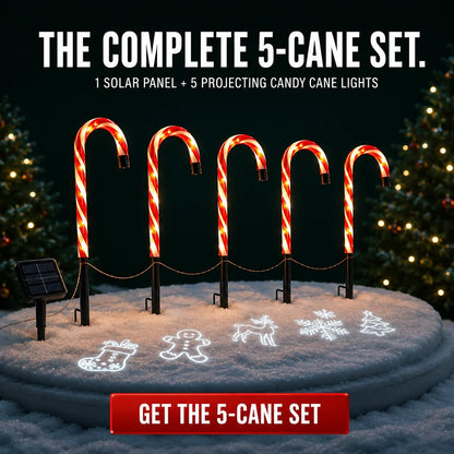 ✨🎄Solar Candy Cane Projector Pathway Lights – Light the Way to Christmas