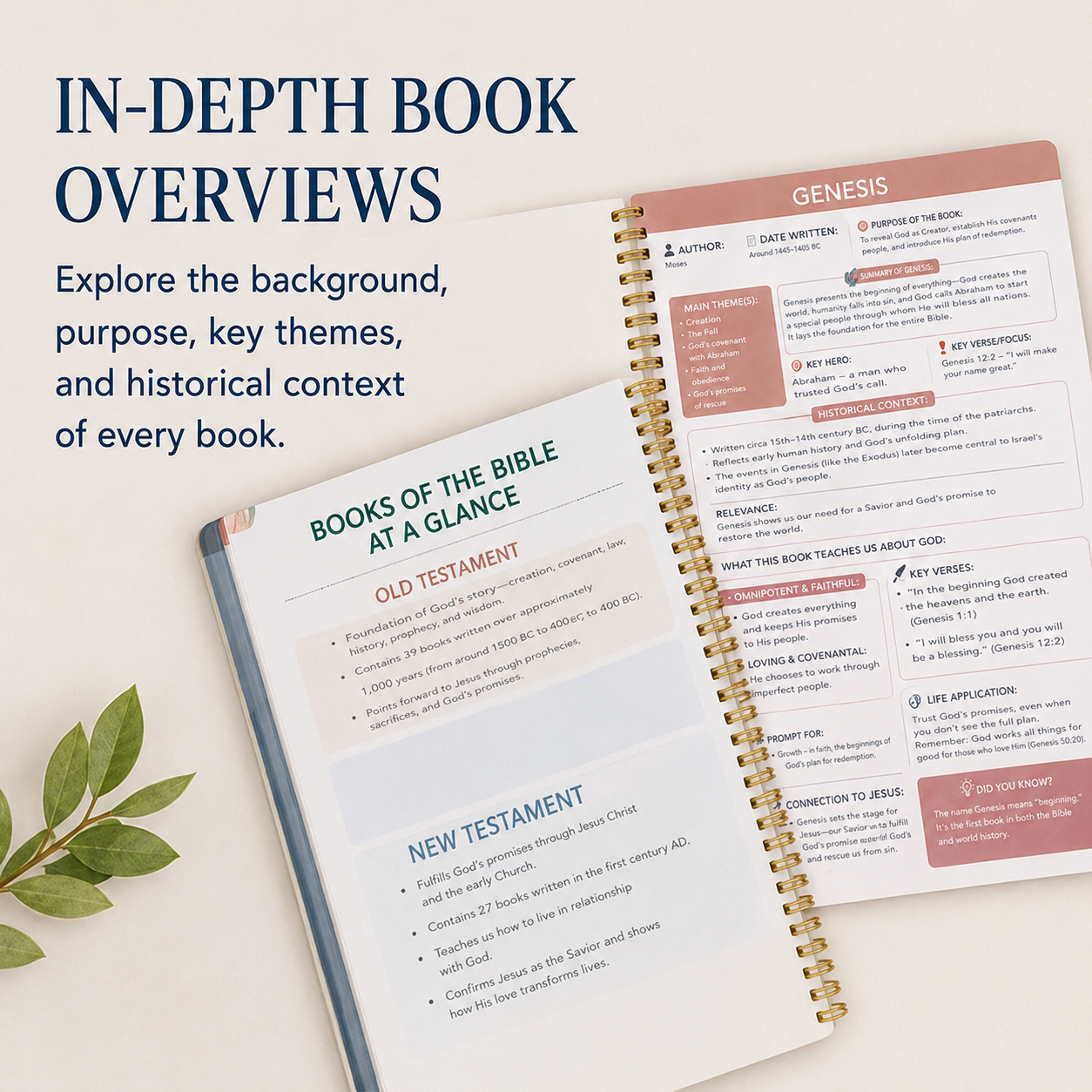 ✝️ The Bible Study Guide – Go Deeper in Faith. The Perfect Gift for Loved Ones. 📖