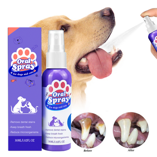 ⏰ Last day!!Buy 1 Get 1 Free🔥Pet Tooth Cleaning Spray
