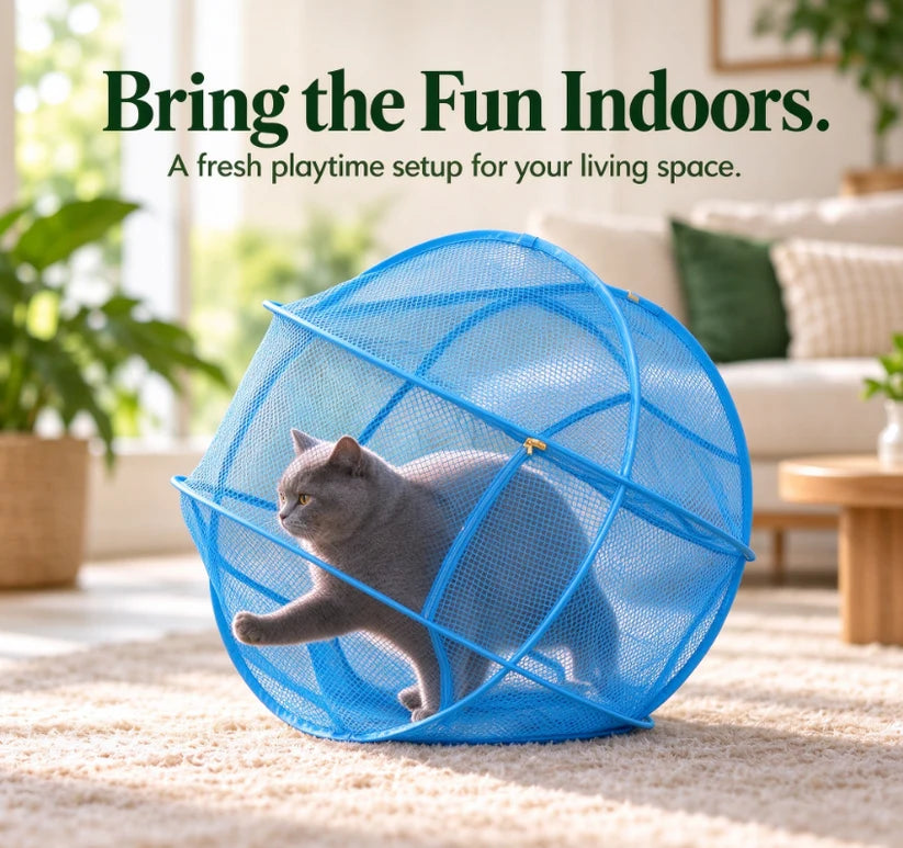 🐱🌿 Freshair Cat Haven™ – Pop-up Mesh Playpen