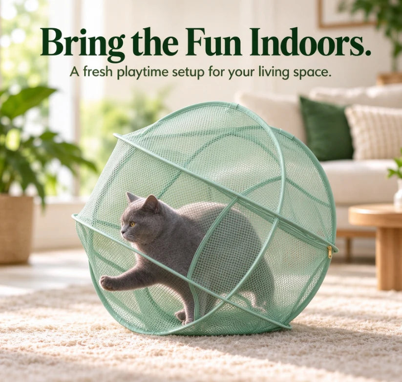 🐱🌿 Freshair Cat Haven™ – Pop-up Mesh Playpen