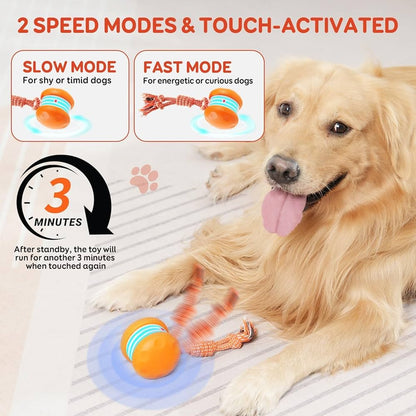 🔥50% OFF🐶Smart Sports Pet Ball - Plush Companion