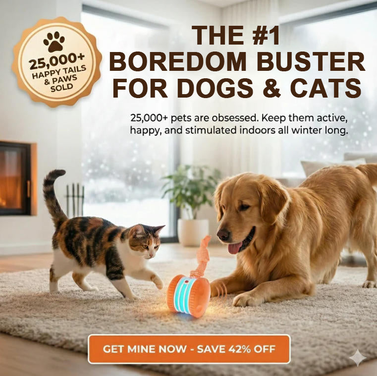 🔥50% OFF🐶Smart Sports Pet Ball - Plush Companion