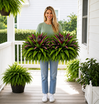 2-Pack(Save$10)
