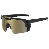 Gold Mirror+Free glasses case