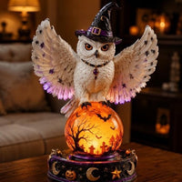 🦉Owl
