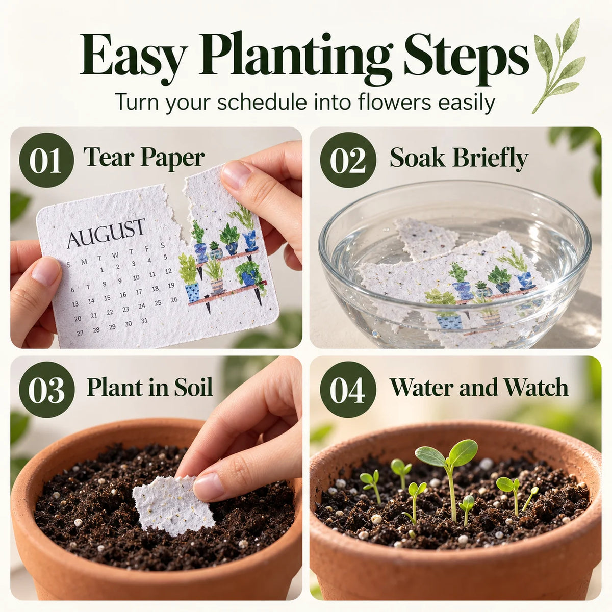 🌷Flowers🍓Fruits🪴Herbs🌱Eco-Friendly Plantable “Timeless” Seed Calendar 2027