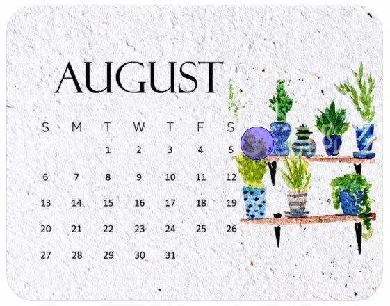 🌱Calendar Only