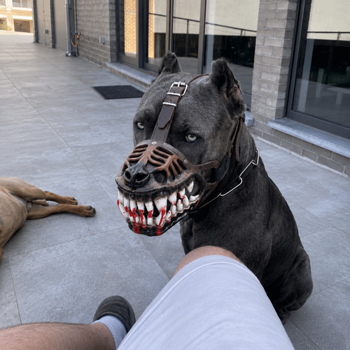 🎃 Early Halloween Sale 50% Off 🔥 Hell Hound Monster Dog Muzzle