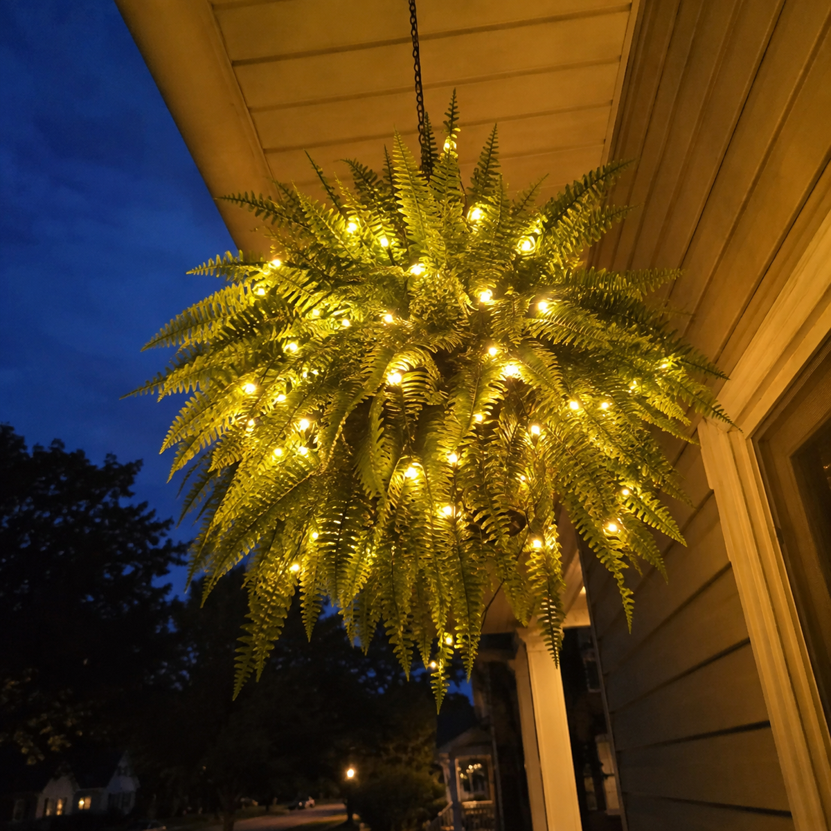 💛Glowing Boston Ferns with Lights – 🌿 Zero Watering, Zero Maintenance