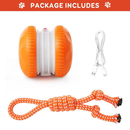🔥50% OFF🐶Smart Sports Pet Ball - Plush Companion