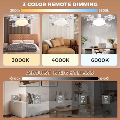 2‑in‑1 Remote Control Ceiling LED Fan Light