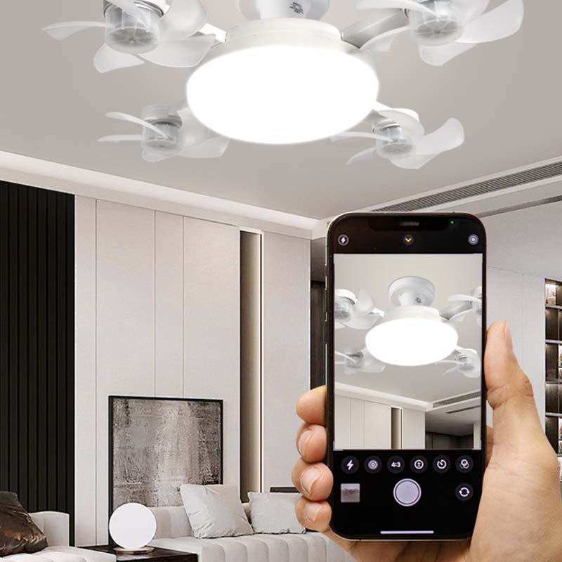 2‑in‑1 Remote Control Ceiling LED Fan Light