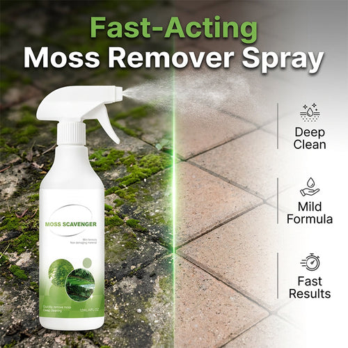 Outdoor Moss & Algae Remover Spray